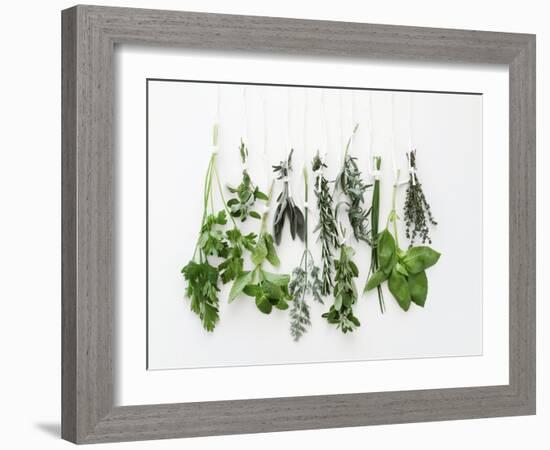 Various Fresh Herbs Hanging Up-Tanya Zouev-Framed Photographic Print