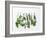 Various Fresh Herbs Hanging Up-Tanya Zouev-Framed Photographic Print