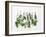 Various Fresh Herbs Hanging Up-Tanya Zouev-Framed Photographic Print