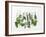 Various Fresh Herbs Hanging Up-Tanya Zouev-Framed Photographic Print