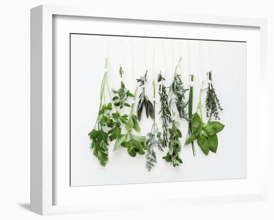 Various Fresh Herbs Hanging Up-Tanya Zouev-Framed Photographic Print