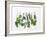 Various Fresh Herbs Hanging Up-Tanya Zouev-Framed Photographic Print