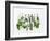 Various Fresh Herbs Hanging Up-Tanya Zouev-Framed Photographic Print