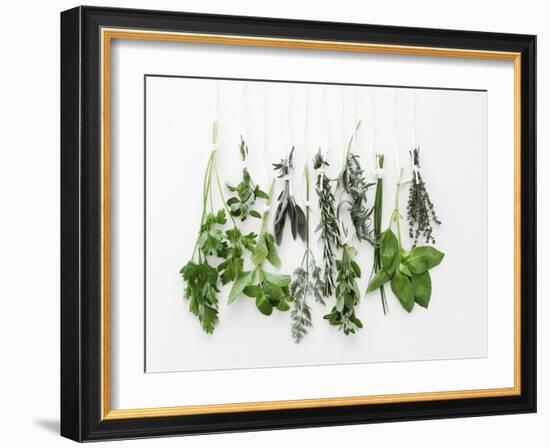 Various Fresh Herbs Hanging Up-Tanya Zouev-Framed Photographic Print