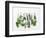 Various Fresh Herbs Hanging Up-Tanya Zouev-Framed Photographic Print