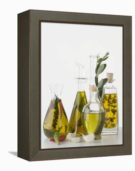 Various Herb and Spice Oils-null-Framed Premier Image Canvas