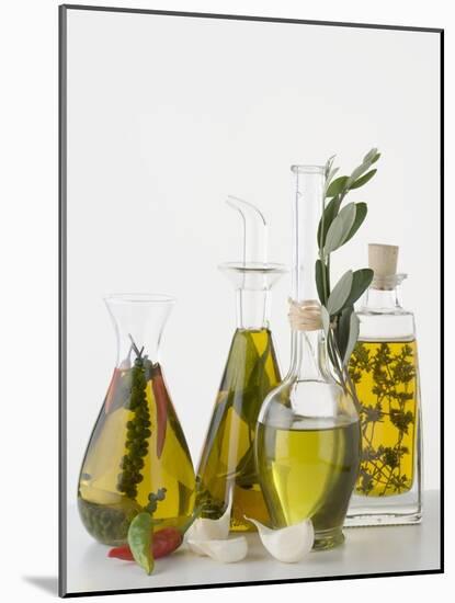 Various Herb and Spice Oils-null-Mounted Photographic Print