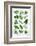 Various Herbs on Marble-Peter Howard Smith-Framed Photographic Print