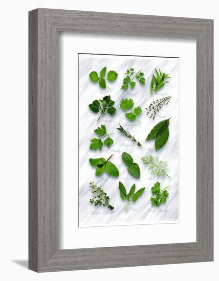 Various Herbs on Marble-Peter Howard Smith-Framed Photographic Print