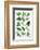 Various Herbs on Marble-Peter Howard Smith-Framed Photographic Print