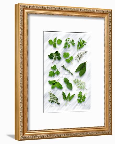 Various Herbs on Marble-Peter Howard Smith-Framed Photographic Print