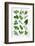 Various Herbs on Marble-Peter Howard Smith-Framed Photographic Print