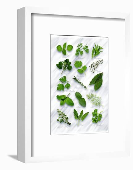 Various Herbs on Marble-Peter Howard Smith-Framed Photographic Print