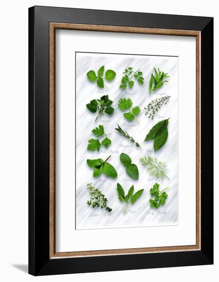 Various Herbs on Marble-Peter Howard Smith-Framed Photographic Print