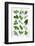 Various Herbs on Marble-Peter Howard Smith-Framed Photographic Print