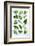 Various Herbs on Marble-Peter Howard Smith-Framed Photographic Print