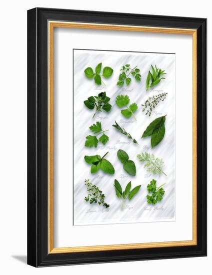 Various Herbs on Marble-Peter Howard Smith-Framed Photographic Print