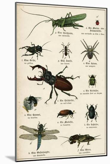 Various Insects C1880-null-Mounted Art Print