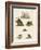 Various Kinds of Bears-null-Framed Giclee Print