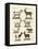 Various Kinds of Goats and Bucks-null-Framed Premier Image Canvas