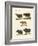 Various Kinds of Oxen-null-Framed Giclee Print