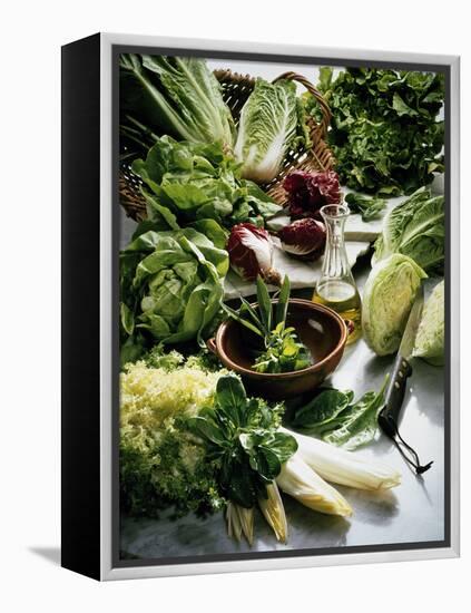 Various Lettuces-Teubner Foodfoto GmbH-Framed Premier Image Canvas