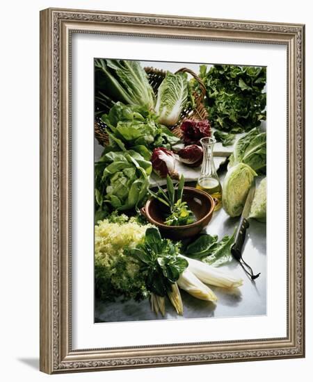 Various Lettuces-Teubner Foodfoto GmbH-Framed Photographic Print