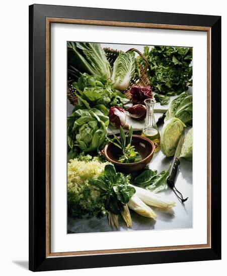 Various Lettuces-Teubner Foodfoto GmbH-Framed Photographic Print