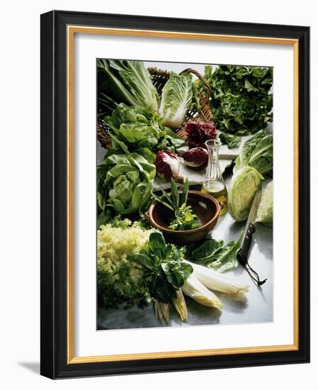 Various Lettuces-Teubner Foodfoto GmbH-Framed Photographic Print