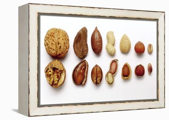 Various Nuts, Shelled and Unshelled-Eising Studio - Food Photo and Video-Framed Premier Image Canvas