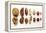 Various Nuts, Shelled and Unshelled-Eising Studio - Food Photo and Video-Framed Premier Image Canvas