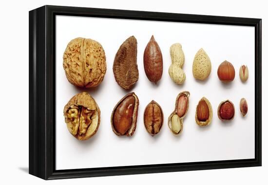 Various Nuts, Shelled and Unshelled-Eising Studio - Food Photo and Video-Framed Premier Image Canvas