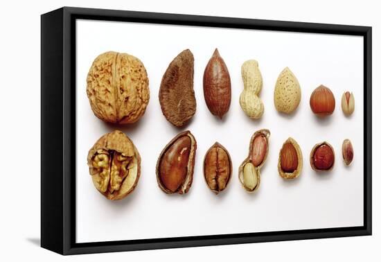 Various Nuts, Shelled and Unshelled-Eising Studio - Food Photo and Video-Framed Premier Image Canvas