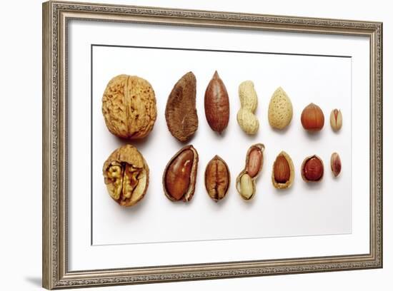 Various Nuts, Shelled and Unshelled-Eising Studio - Food Photo and Video-Framed Photographic Print