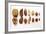 Various Nuts, Shelled and Unshelled-Eising Studio - Food Photo and Video-Framed Photographic Print