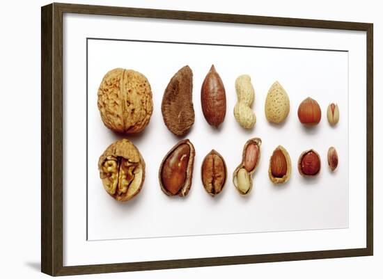 Various Nuts, Shelled and Unshelled-Eising Studio - Food Photo and Video-Framed Photographic Print