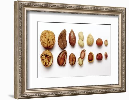 Various Nuts, Shelled and Unshelled-Eising Studio - Food Photo and Video-Framed Photographic Print