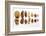 Various Nuts, Shelled and Unshelled-Eising Studio - Food Photo and Video-Framed Photographic Print