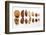 Various Nuts, Shelled and Unshelled-Eising Studio - Food Photo and Video-Framed Photographic Print
