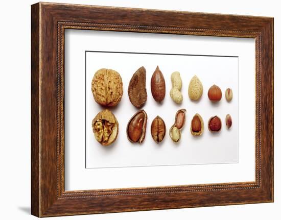 Various Nuts, Shelled and Unshelled-Eising Studio - Food Photo and Video-Framed Photographic Print