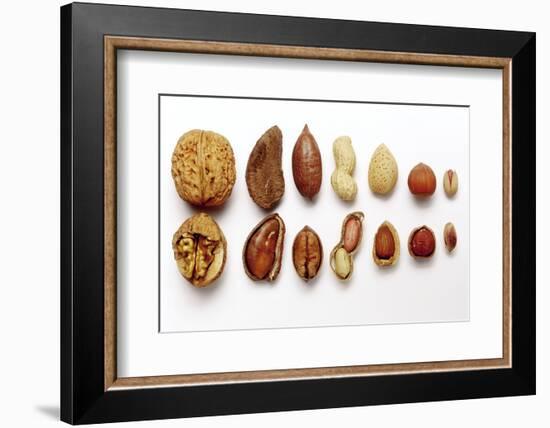 Various Nuts, Shelled and Unshelled-Eising Studio - Food Photo and Video-Framed Photographic Print