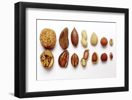 Various Nuts, Shelled and Unshelled-Eising Studio - Food Photo and Video-Framed Photographic Print