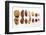 Various Nuts, Shelled and Unshelled-Eising Studio - Food Photo and Video-Framed Photographic Print