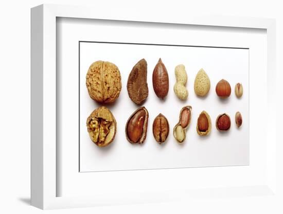 Various Nuts, Shelled and Unshelled-Eising Studio - Food Photo and Video-Framed Photographic Print