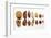 Various Nuts, Shelled and Unshelled-Eising Studio - Food Photo and Video-Framed Photographic Print