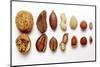 Various Nuts, Shelled and Unshelled-Eising Studio - Food Photo and Video-Mounted Photographic Print