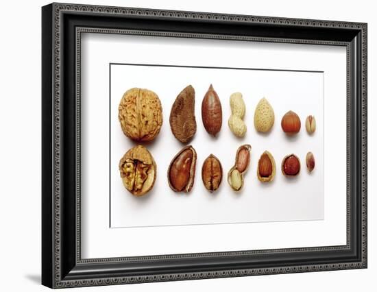 Various Nuts, Shelled and Unshelled-Eising Studio - Food Photo and Video-Framed Photographic Print