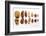 Various Nuts, Shelled and Unshelled-Eising Studio - Food Photo and Video-Framed Photographic Print