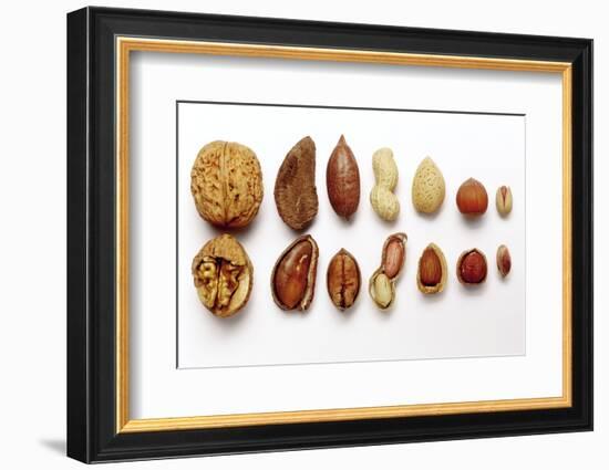 Various Nuts, Shelled and Unshelled-Eising Studio - Food Photo and Video-Framed Photographic Print