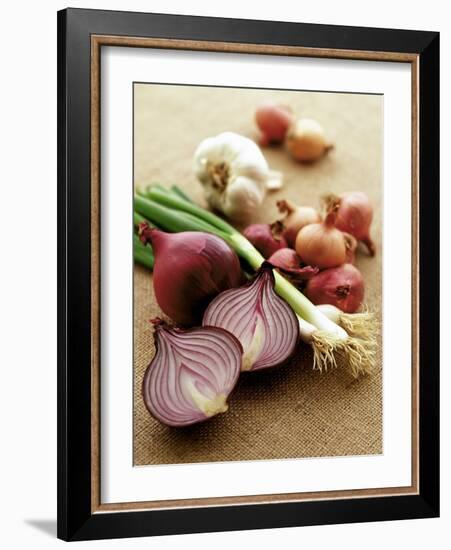 Various Onion Family Vegetables-Peter Howard Smith-Framed Photographic Print